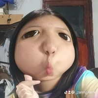 T/G ToBi