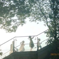 Naus -kiêm luôn tg