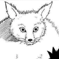 Kon