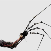 Prototype (1006)