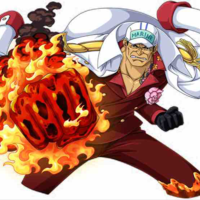 Sakazuki akainu