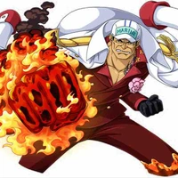 Sakazuki akainu