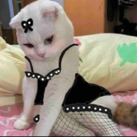 Tg cuteo:)