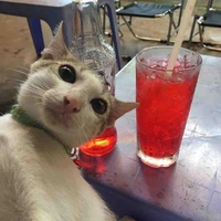 Tác giả
