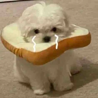 Thầy