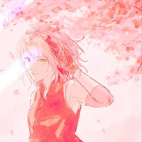 Haruno Sakura