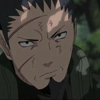 Nara Shikaku