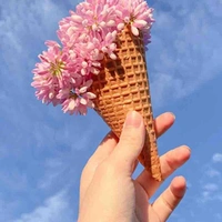 Tác giả đẹp trai