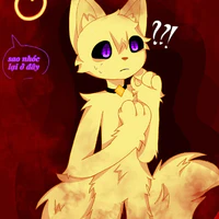 💛light cat🧡