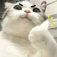 Mie