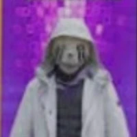 error 505 sans