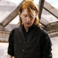 William Weasley-Bill Weasley