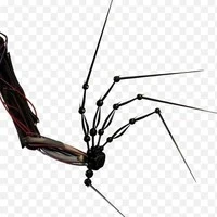 1006 ( protoype ) [nó xấu rồi khỏi nói]