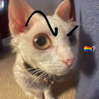 Tác giả : Luna
