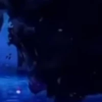 ？？？