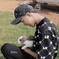 đình hoà 