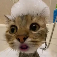 Tác Giả cuti