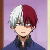 todoroki shouto