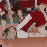 Tg ume mèo