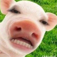 t/g đẹp trai nhưng được cái sĩ gái
