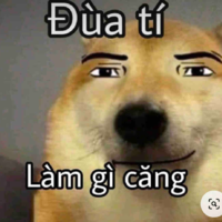 T/g