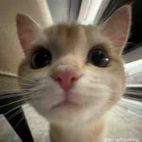 Tác giả mê viết truyện:3