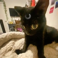 T/g-Chàng béo quê miền Tây:)-