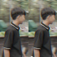 Phạm Đình Hoà