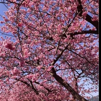 người trong hội học sinh