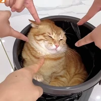 Nhân vật phụ