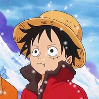 Monkey D Luffy