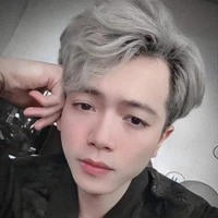 Hoài Việt (Mr Vịt)