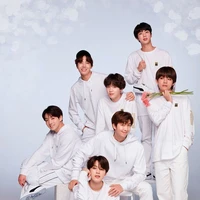 Các anh (BTS/Trừ Jin)