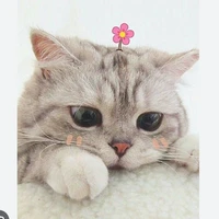 Tác giả đây:))