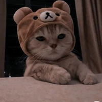 Ve ko sầu