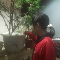 elena(em nanon)