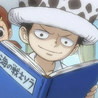 Law