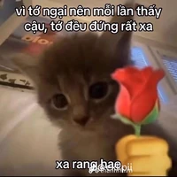 Tác giả