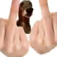 Thái độ cái lò🤬