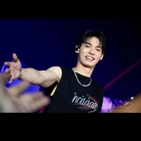 Win metawin