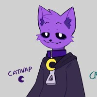 Catnap