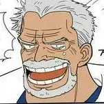 monkey.D.garp