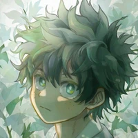 Midoriya Izuku (Deku)