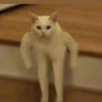 Thích thì cho lên:))