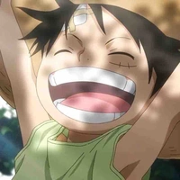 Monkey D Luffy
