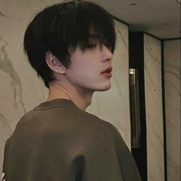 Đình Tử Quân- nhị ca