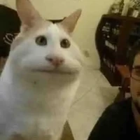 All (trừ những người cần trừ)