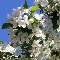 All