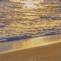 all những người cần trừ