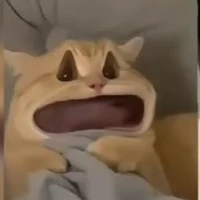 Ngáo ngơ•-•